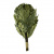 venik_oak_without_net.jpg venik_oak_without_net.jpg