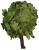 Oak Bath Broom Russian 1 Oak Bath Broom Russian 1