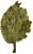 Oak Bath Broom Russian 2 Oak Bath Broom Russian 2