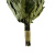 venik_oak_without_net2.jpg venik_oak_without_net2.jpg
