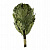 venik_oak_without_net.jpg