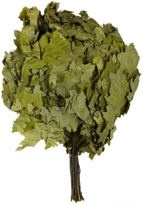 Oak Bath Broom Russian