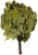 Oak Bath Broom Russian Oak Bath Broom Russian